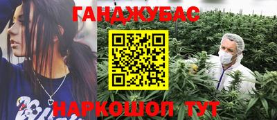 трава Гатчина