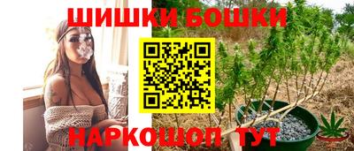 трава Гатчина