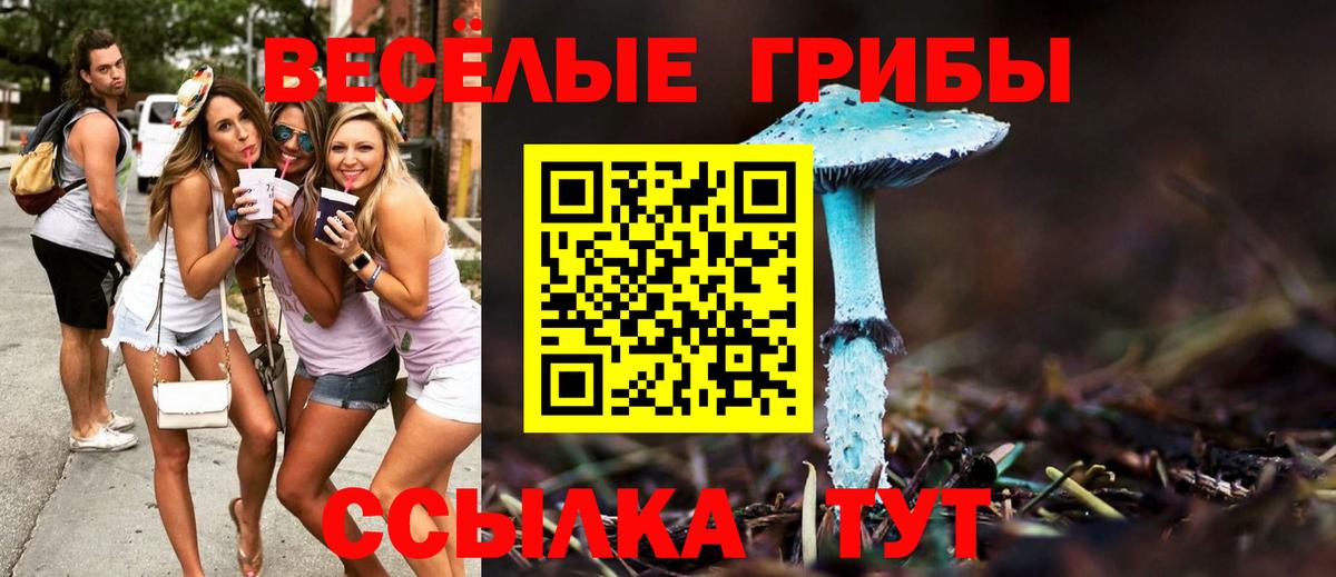 Мурино  Галлюциногенные грибы прущие грибы  Вход с VPN 