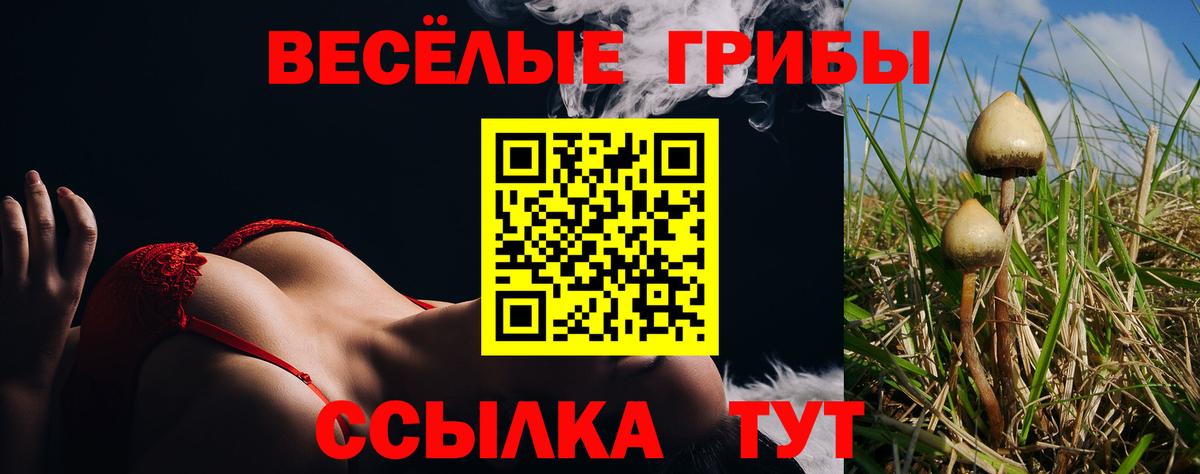 Псилоцибиновые грибы GOLDEN TEACHER Мурино